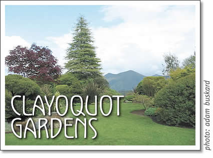 clayoquot island open house